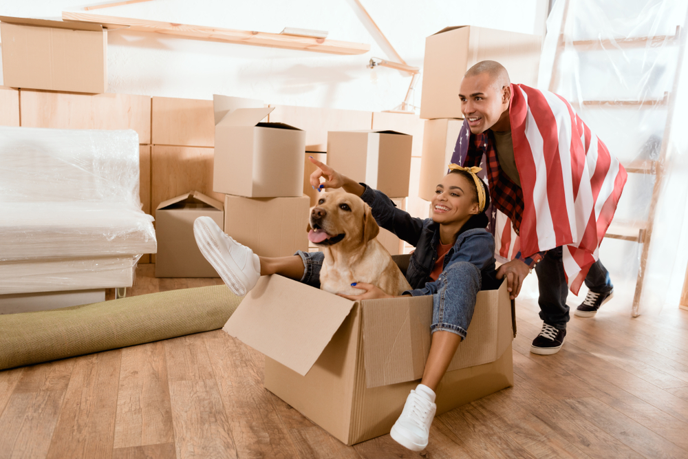 Moving with Pets - Direct Moving Services